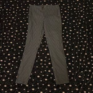 Pin striped dress pants